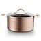 Nutrichef Dutch Oven Pot Work With Nccw14S20S PRTNCCW14SDOP - alternate 1